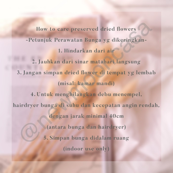 PROMO GROSIR MURAH NATURAL DRIED FLOWER BUNGA KERING CASPIA CASPEA
