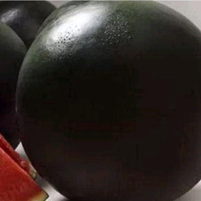 KEMASAN ORIGINAL BIJI BENIH SEMANGKA HITAM BULAT NON BIJI IMPOR