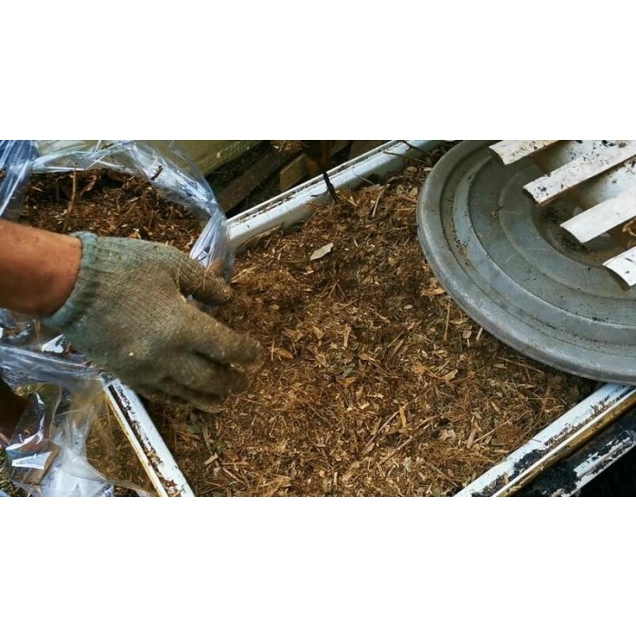 Pupuk Kompos Bambu Pilihan 15 Liter Trichoderma dan PGPR Alami