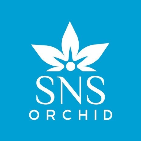 (BestSeller) Remaja Anggrek Bulan Phalaenopsis Hybrid Warna Koleksi Bibit Bunga