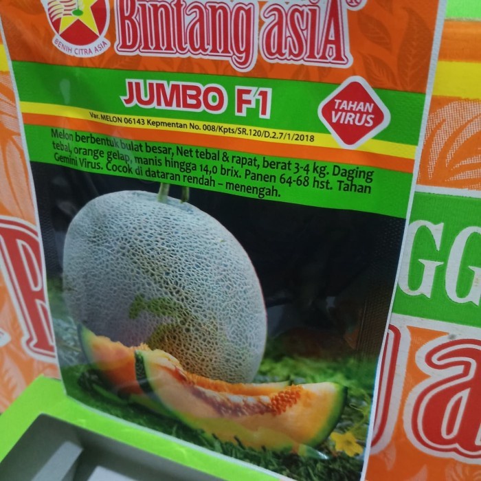 (BestSeller) Melon JUMBO F1 "bintang asia"