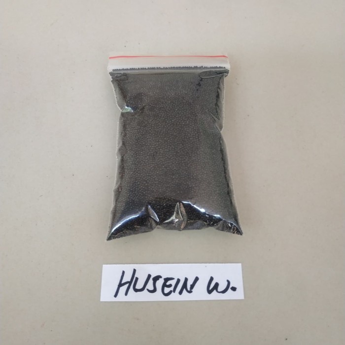 (BestSeller) bibit benih bayam petik bayam peyek bayam kakap jumbo