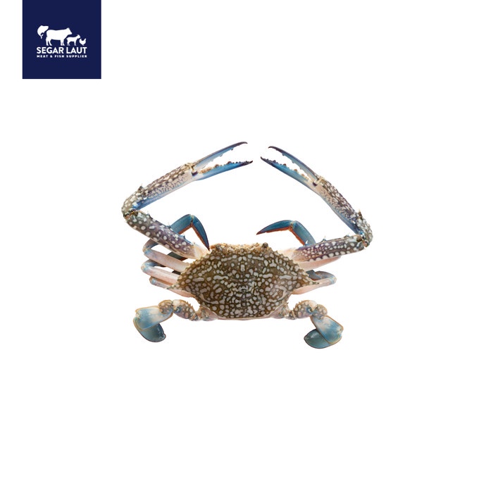 

Sale Terbatas Kepiting Soka Frozen Soft Shell Crab Premium Aman