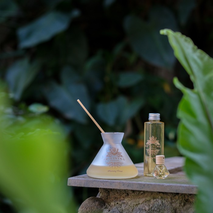 Produk Viral De'Living Moment - Morning Forest Packing Aman