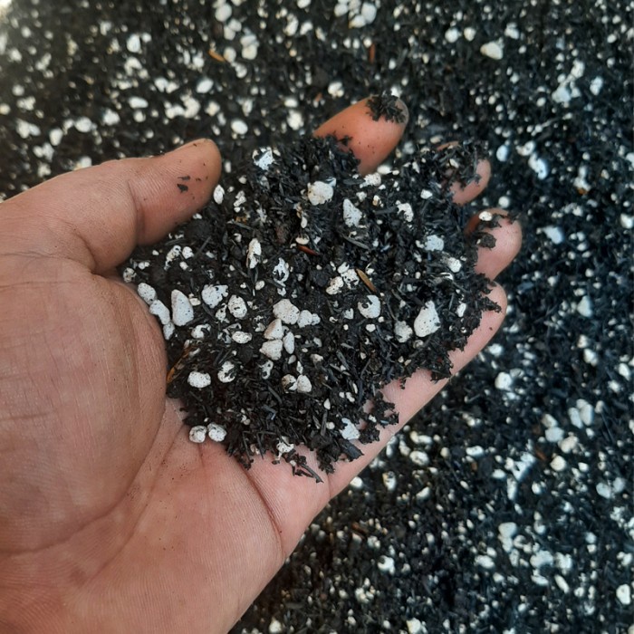 Media Tanam Kaktus Dan Sukulen (Geek Farmer)