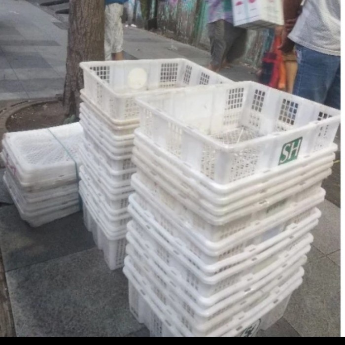 TERBATAS Keranjang Bekas Buah Kelengkeng