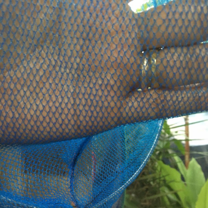 keramba khusus bahan jaring kasa hijau , waring hitam rk , jaring biru