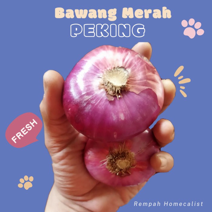 

Bawang Merah Peking 1 kg Bawang Merah India