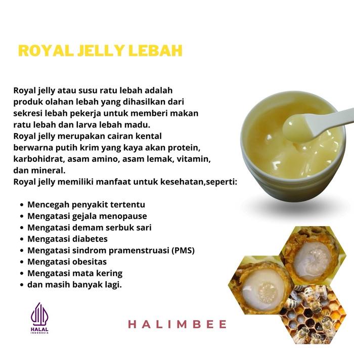 

Sale Terbatas Madu Royal Jelly Kemasan 110 Gram (Pure Royal Jelly) Aman