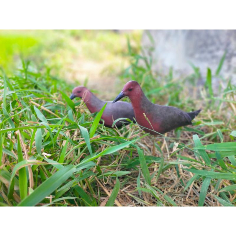 Promo Patung Jontrot Burung Tikusan Merah - Patung Tikusan - Jontrot Burung Tikusan Merah Ready