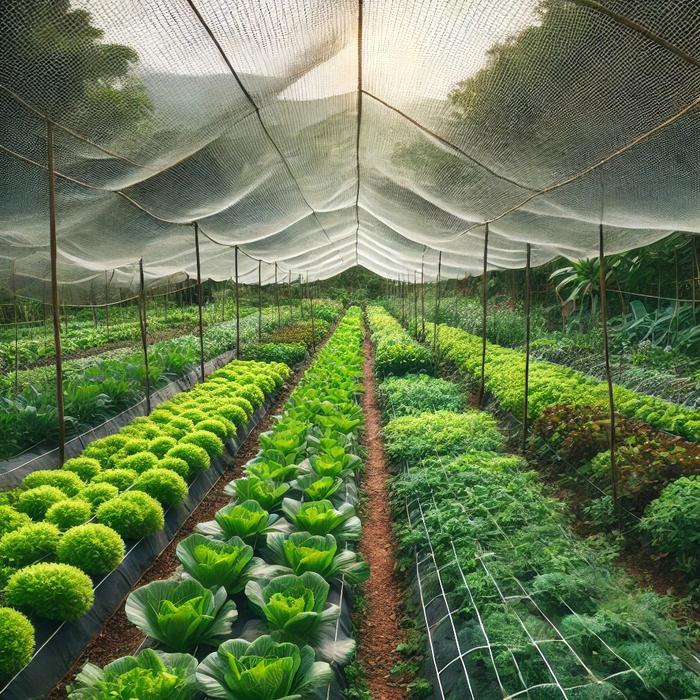 Terbaru Jaring Paranet 75%, Anti UV, Ukuran [ Panjang 10 m x Lebar 3 m ] Tanaman / Rumah Pupuk