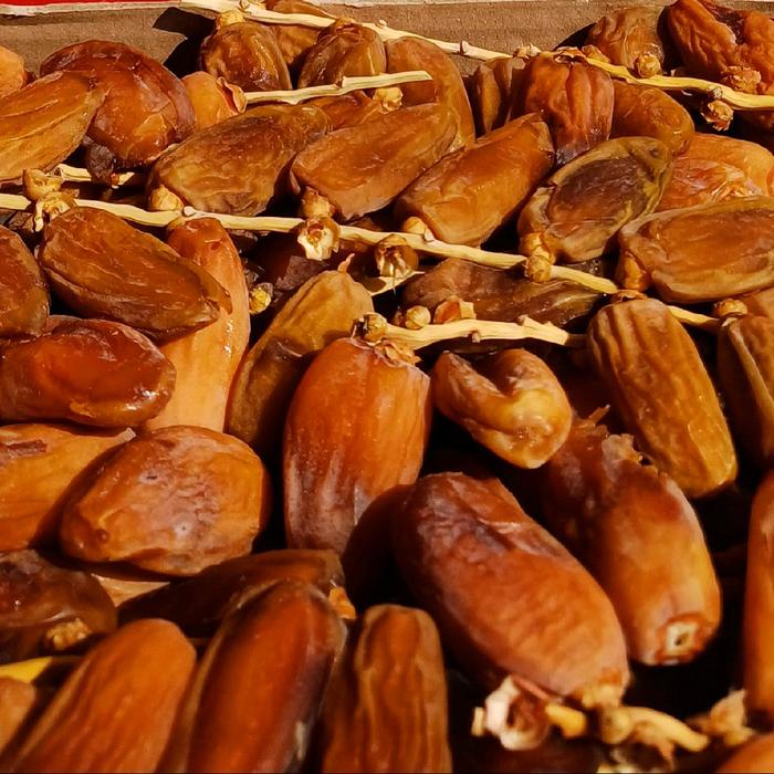 

Kurma Tunisia Tangkai Fresh Original