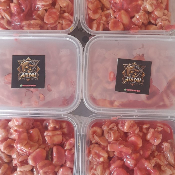 otot sapi tumis umpan galatama lele dan bawal