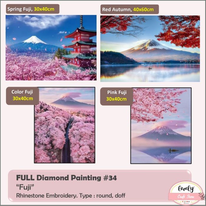 5D DIAMOND PAINTING FULL 30X40CM EMBROIDERY RHINESTONE FUJI #34