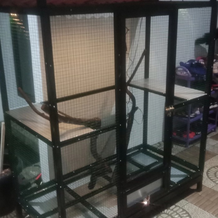 kandang iguana jumbo elegan