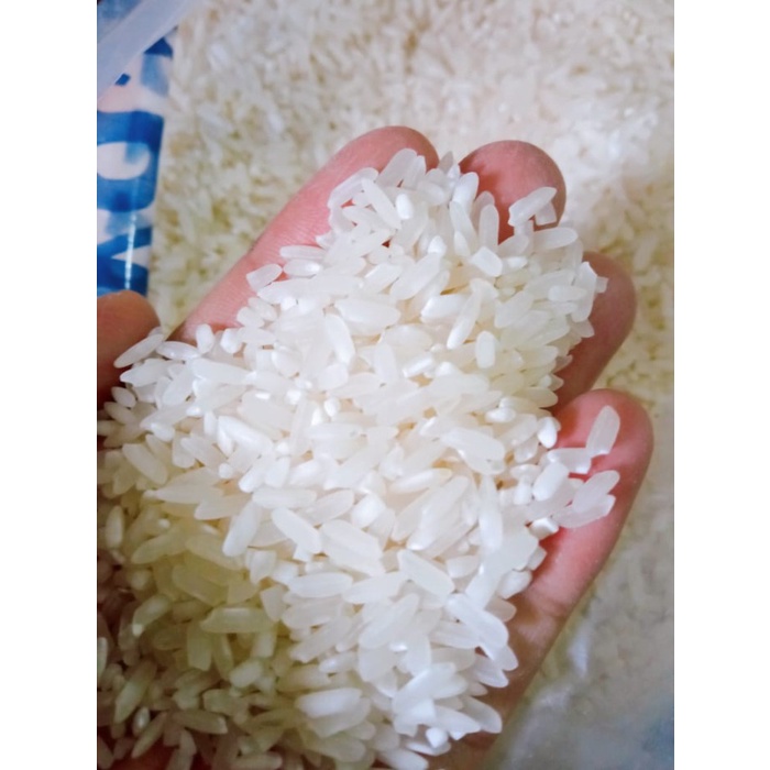 

Lezat- Beras Rojolele Pulen Super 5kg Beras Kepala Rojolele