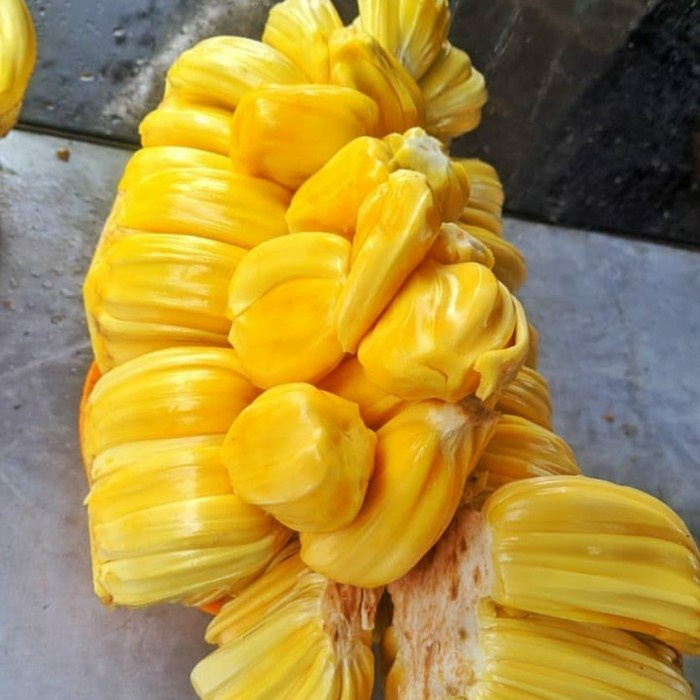 

Lezat- nangka kupas manis 1kg