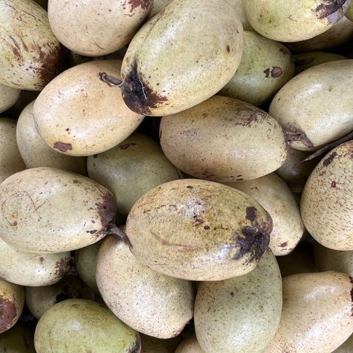 

Lezat- Buah Kemang Lokal Musiman 1 kg - Segar setiap hari