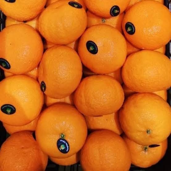 

Lezat- JERUK MANDARIN / WOKAM MURCOT AUSTRALIA / MANIS SEGER ( 1kg )