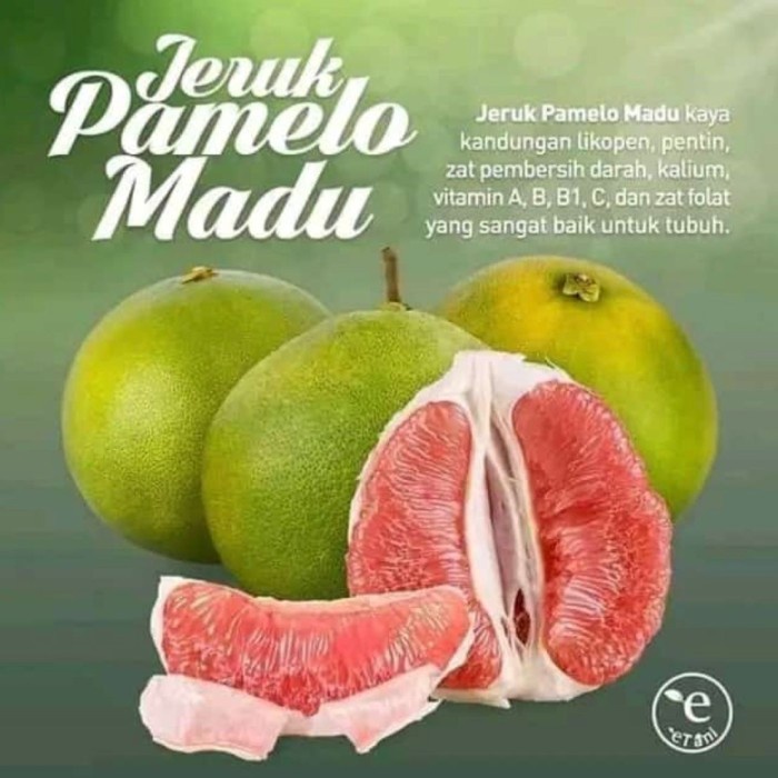 

Lezat- jeruk bali