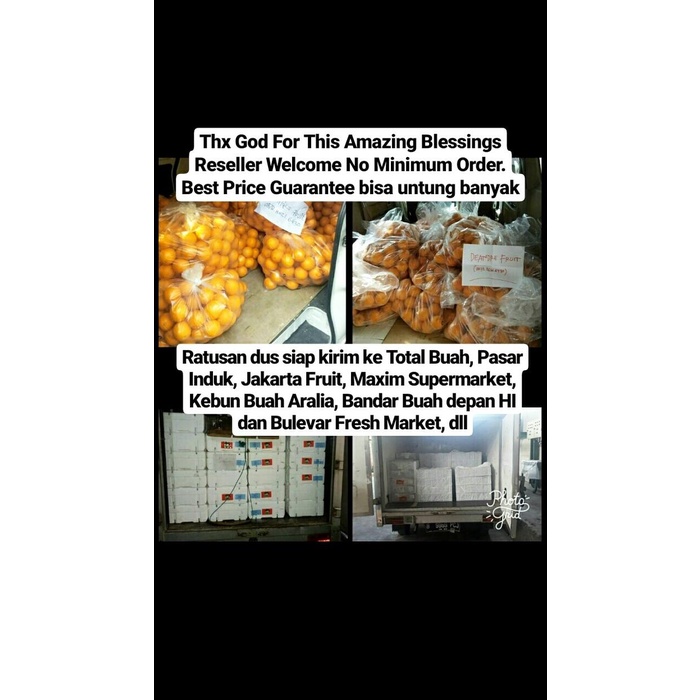 

Lezat- Buah Beku Blackberry Frozen TERMURAH DIJAMIN MURAH DIBAWAH PASARANN