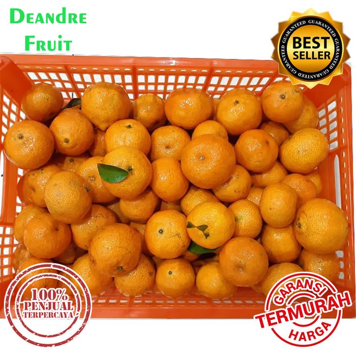 

Lezat- Buah Jeruk Shantang Daun GA ADA BIJI MANIS BANGET 1kg Santang TERMURAH