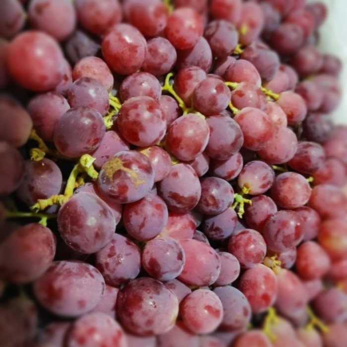 

Lezat- Anggur Merah RRC Buah Segar 500gr