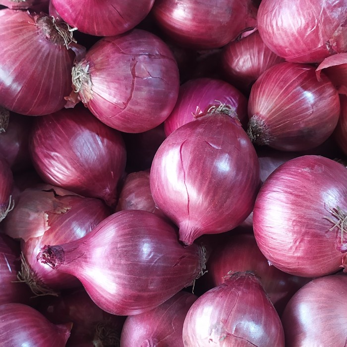 Lezat- bawang bombay merah 1kg