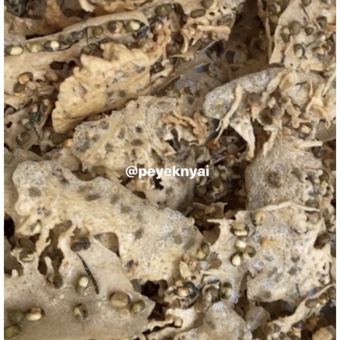 

Rempeyek Peyek Nyai Kacang Hijau (Large)