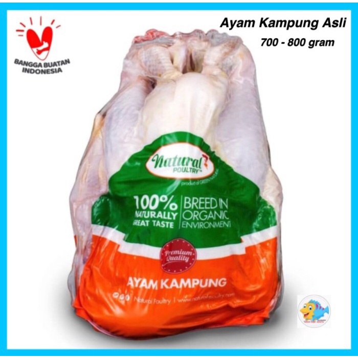 

Lezat- Ayam Kampung Probiotik Natural Poultry 700-800 Gram