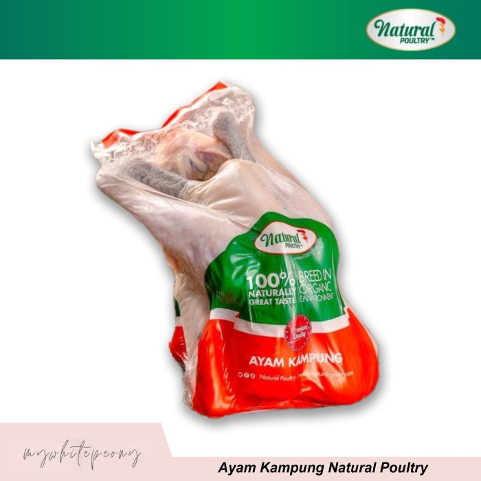 

Lezat- Ayam Kampung Merk Natural Poultry