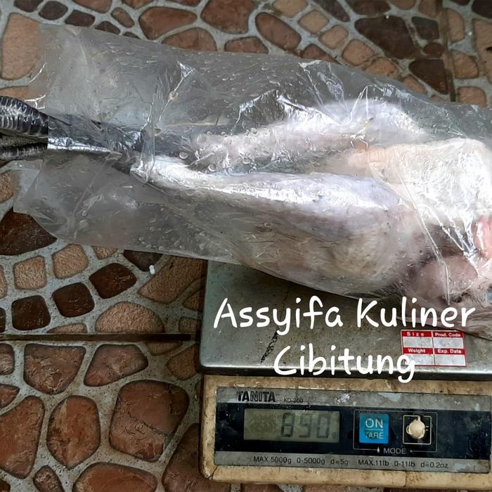

Lezat- Karkas Ayam Kampung Premium Utuh 0.8 ~ 0.89 Ons