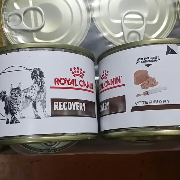 Grosir Royal Canin Vet Recovery 195 Gram