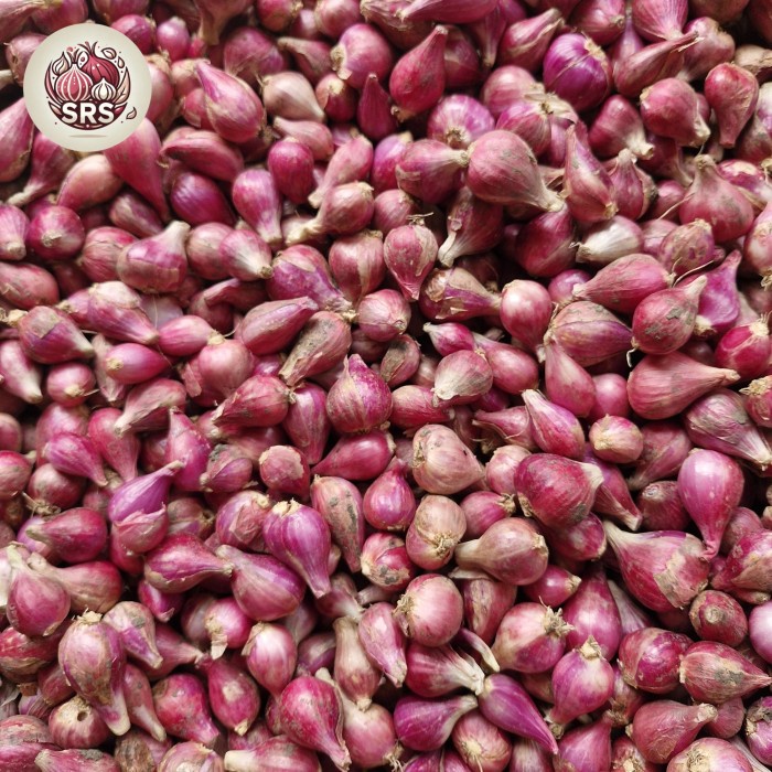 

bawang merah brebes super 1kg
