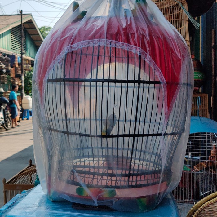 Cat Lover Shop Sangkar Tekukur Kain