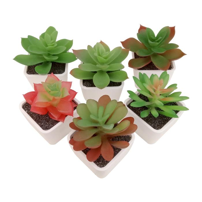 (Expert) KAKTUS SUKULEN MINI Artificial Dekorasi Tanaman Hias Palsu Aesthetic Hiasan Latex Plastik