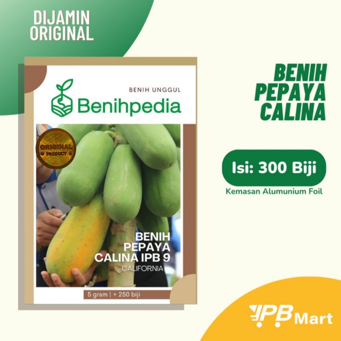 murah- Benih Pepaya Callina IPB California