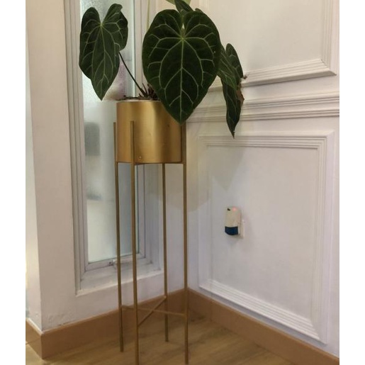 siapkirim- TINGGI 1 METER BESI 8MM/RAK BUNGA BESI/STANDING POT/RAK BUNGA MURAH/STANDING POT BESI