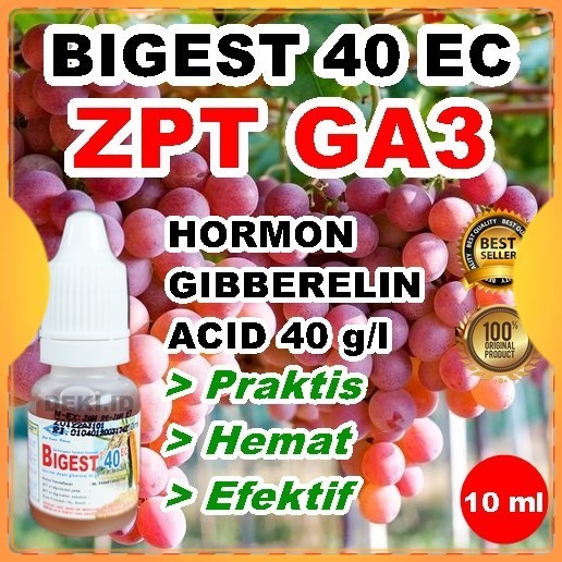 siapkirim- GA3 Bigest 40 EC 10 ml Hormon Giberelin Acid ZPT Tanaman Buah Anggur