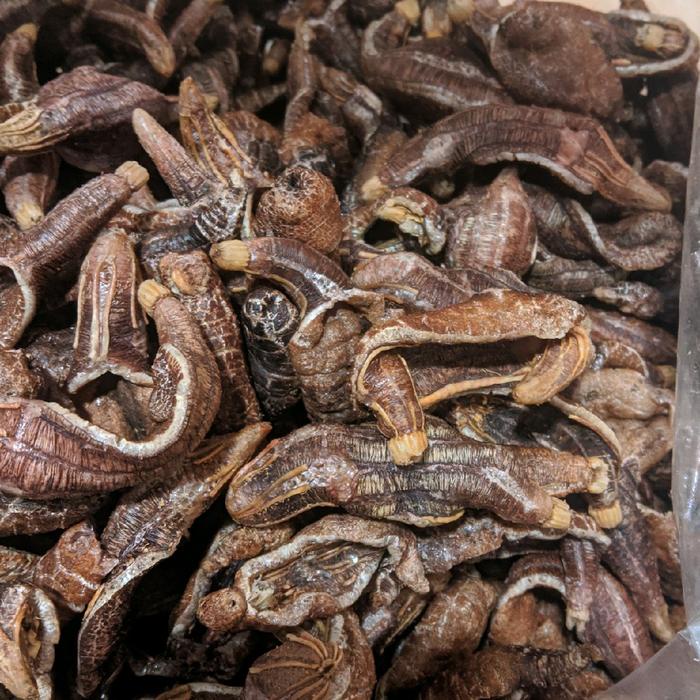 

kerupuk tripang khas surabaya enak makanan ringan kemasan 250g