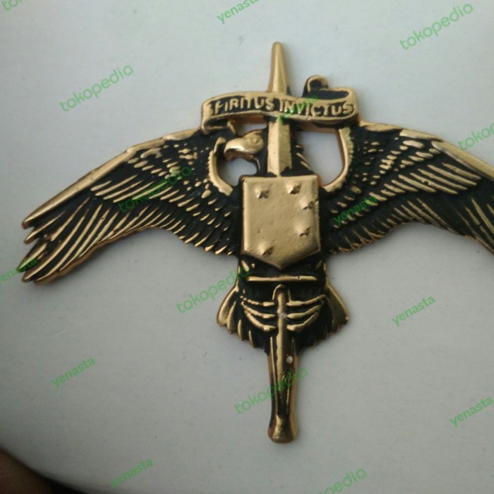 Modrico- brevet wing US MARSOC Badge Marine Corps Forces Special Operations