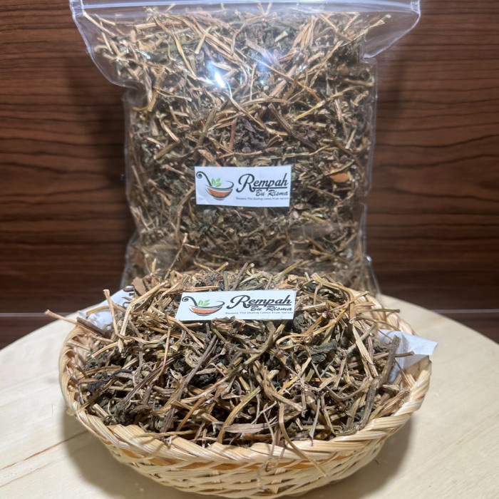 

TERMURAH!! Daun Binahong Kering 1 Kg