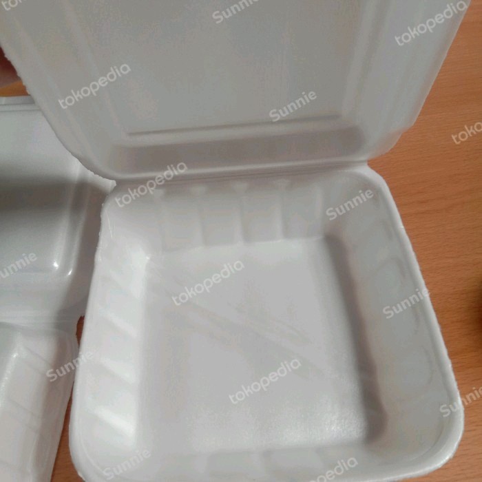 [Expert] styrofoam box nasi kotak /styrofoam nasi gabus 100pc
