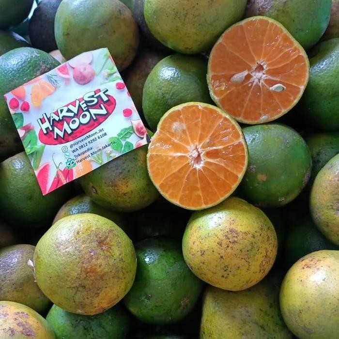 

BisaInstan- HarvestMoon Jeruk Siam Ponti Peras Per Krat