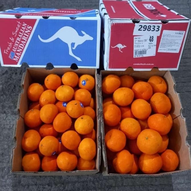 

BisaInstan- BUAH JERUK MURCOT AUSTRALIA FRESH MANIS PER 1 KG
