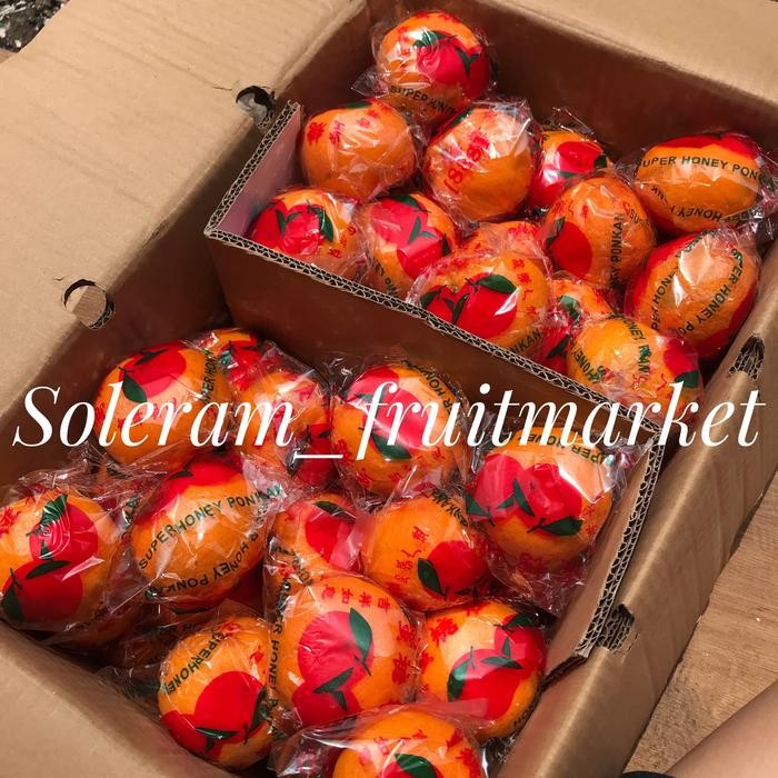 

BisaInstan- Buah Jeruk Ponkam Kardus Ukuran S M L Manis Ekonomis Imlek