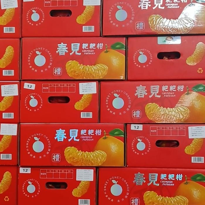 

BisaInstan- buah jeruk kupas sumo dekopon spring korea citrus