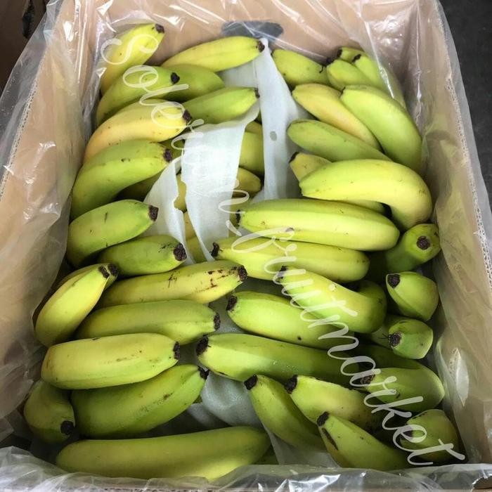 

BisaInstan- Pisang FB 2 sunfresh / sunpride 13kg