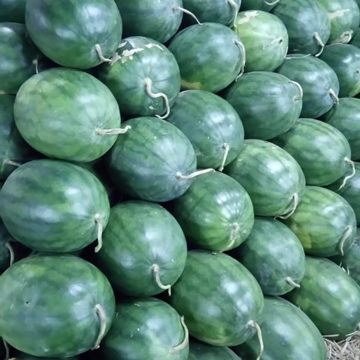 

BisaInstan- buah semangka watermelon merah tanpa biji seedless segar fresh /buah