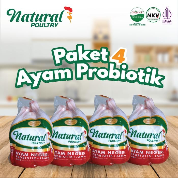 

Kirim,HariYgSama- Ayam Probiotik Reguler Natural Poultry 800gr-900gr - Paket 4 Ayam